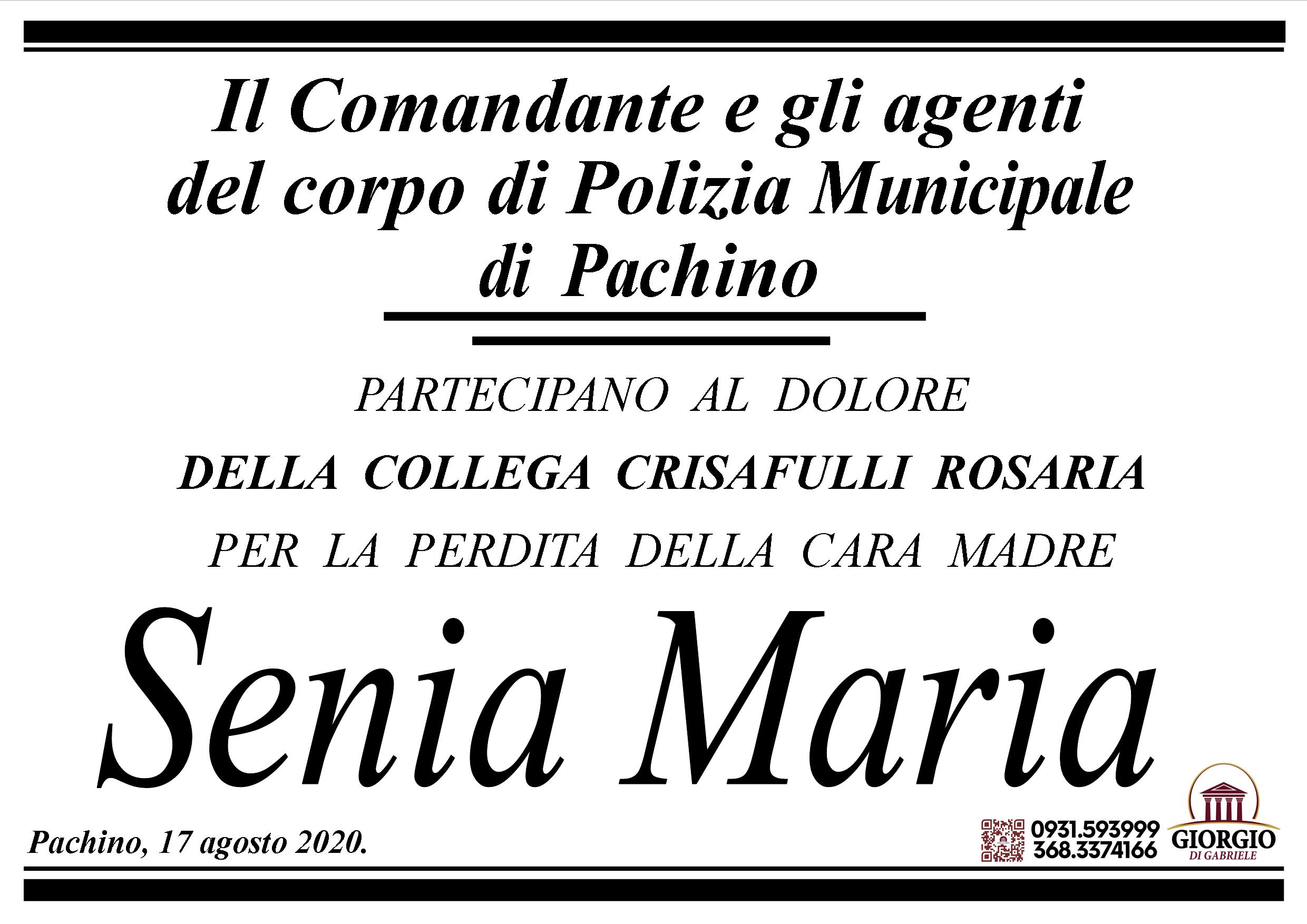 Vigili Urbani